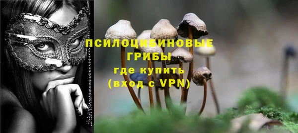 ПСИЛОЦИБИНОВЫЕ ГРИБЫ Абаза
