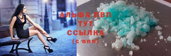 стаф Алзамай