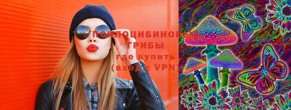 ПСИЛОЦИБИНОВЫЕ ГРИБЫ Абаза