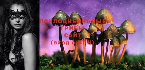 стаф Алзамай