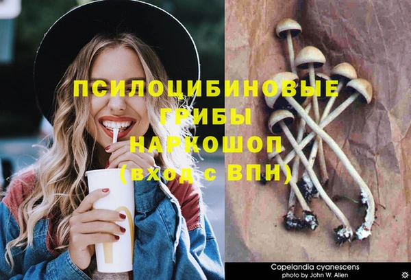 МДМА Алексин