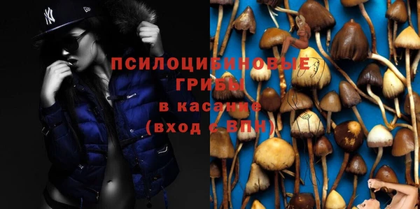 героин Покачи