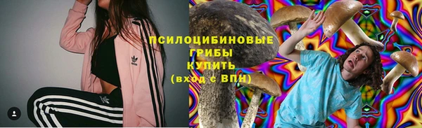 стаф Алзамай