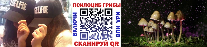 купить наркотик hydra Галлюциногенные грибы мицелий Горячеводский